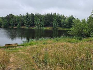 Ferienhaus für 6 Personen in Ringkøbing, Dänemark an der Nordsee, Bild 4