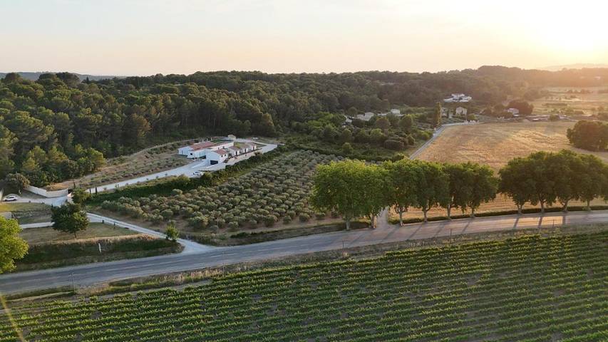 Chambre d’hôte pour 2 personnes, avec piscine ainsi que balcon et jardin à Rognes - 2
