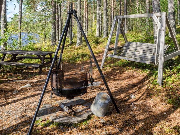 Metsätähti in Pielinen