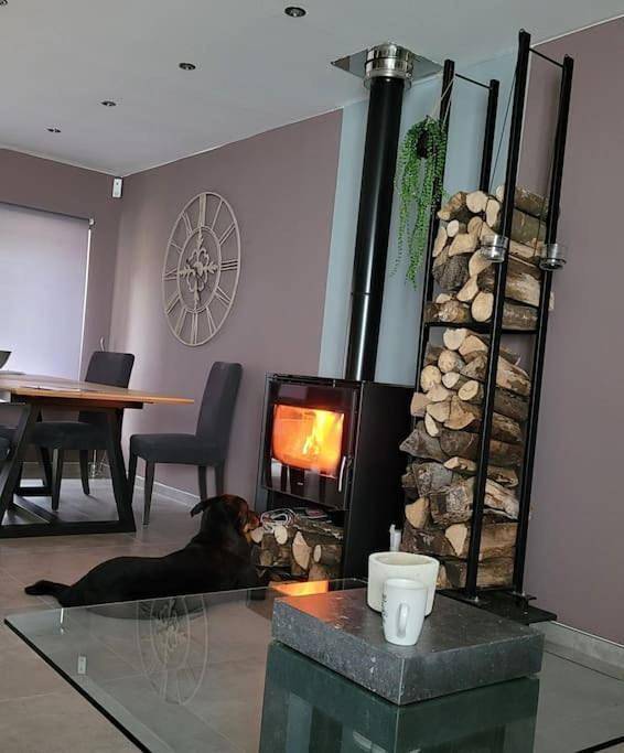 Location de vacances pour 8 personnes, avec terrasse et vue, animaux acceptés dans Erneuville - 4