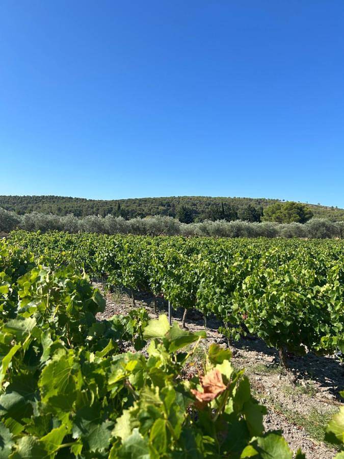 Villa pour 8 personnes, avec jardin et piscine à Martigues