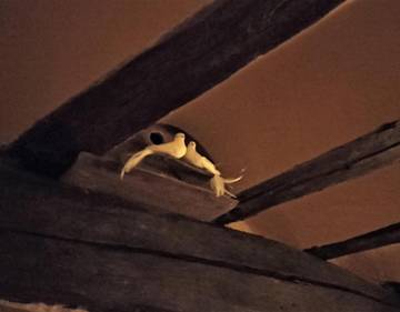 Casa De Vacaciones para 6 Personas en Ábalos, Provincia de La Rioja, Foto 4