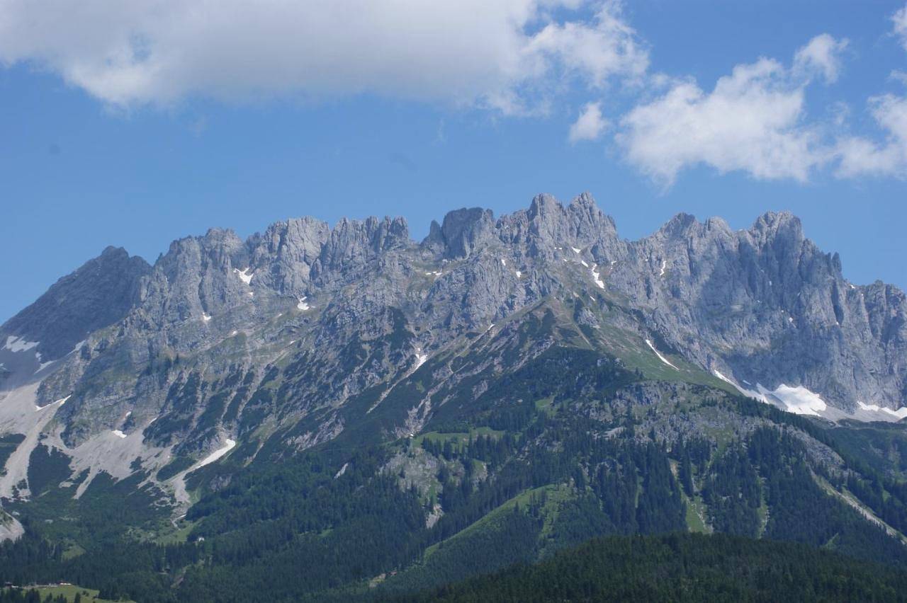 Ganze Wohnung, One-Bedroom Apartment with Mountain View in Scheffau am Wilden Kaiser, Kaisergebirge
