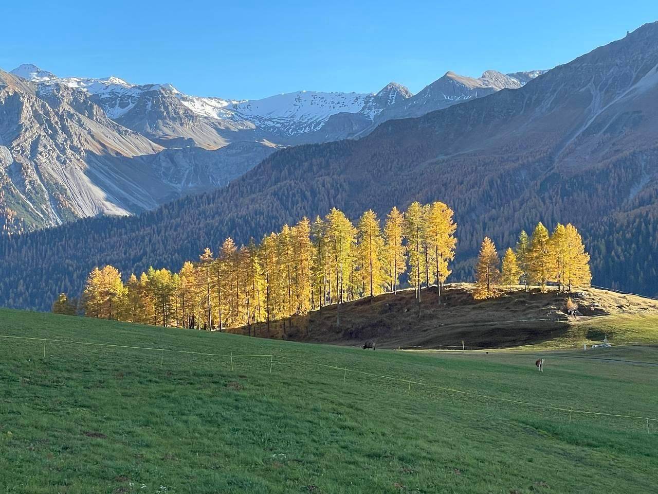 Gebettet in den Wiesen - Ein alpines Paradies in Val Müstair, Unterengadin