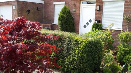 Ferienhaus für 4 Personen, mit Garten und Terrasse in Berumbur