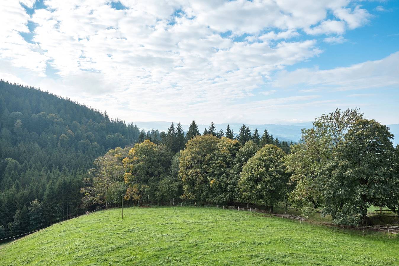 Ganze Wohnung, Ferienwohnung 'St. Peter, 55qm' mit Gemeinschaftsgarten, Balkon und Wi-Fi in St. Peter, Südschwarzwald