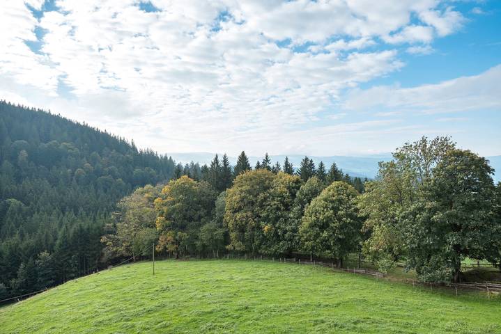 Ferienwohnung für 4 Personen, mit Garten in Sankt Peter - 3