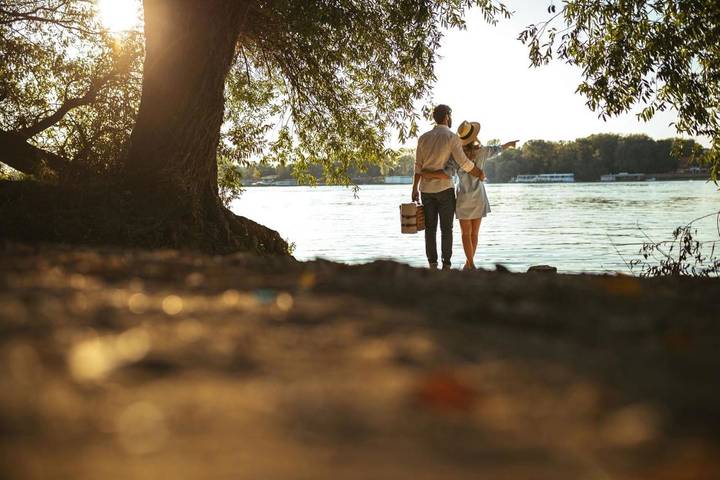 Ferienanlage für 3 Personen, mit Garten, mit Haustier an der Müritz - 2