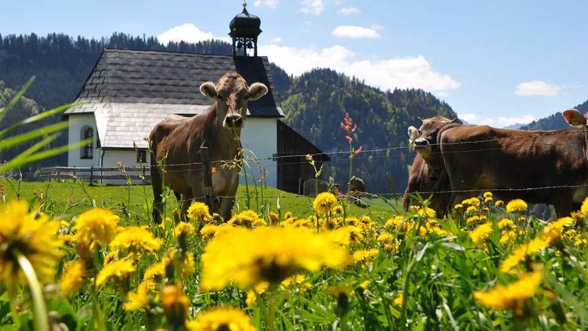 Ferienwohnung für 4 Personen, mit Garten in Obermaiselstein - 4