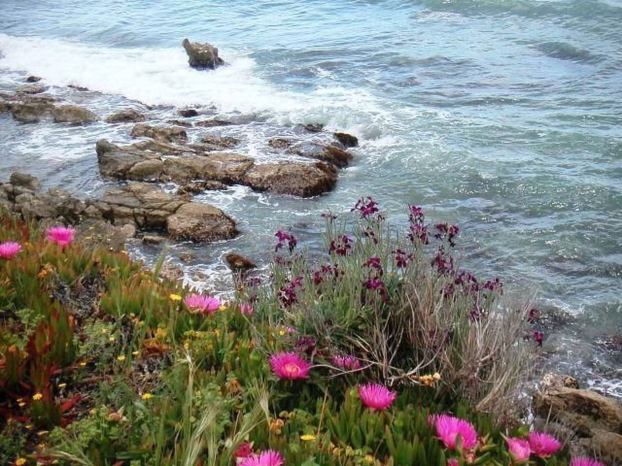 Appartamento intero, Steinhaus mit Panoramadachterrasse in Scicli, Provincia di Ragusa