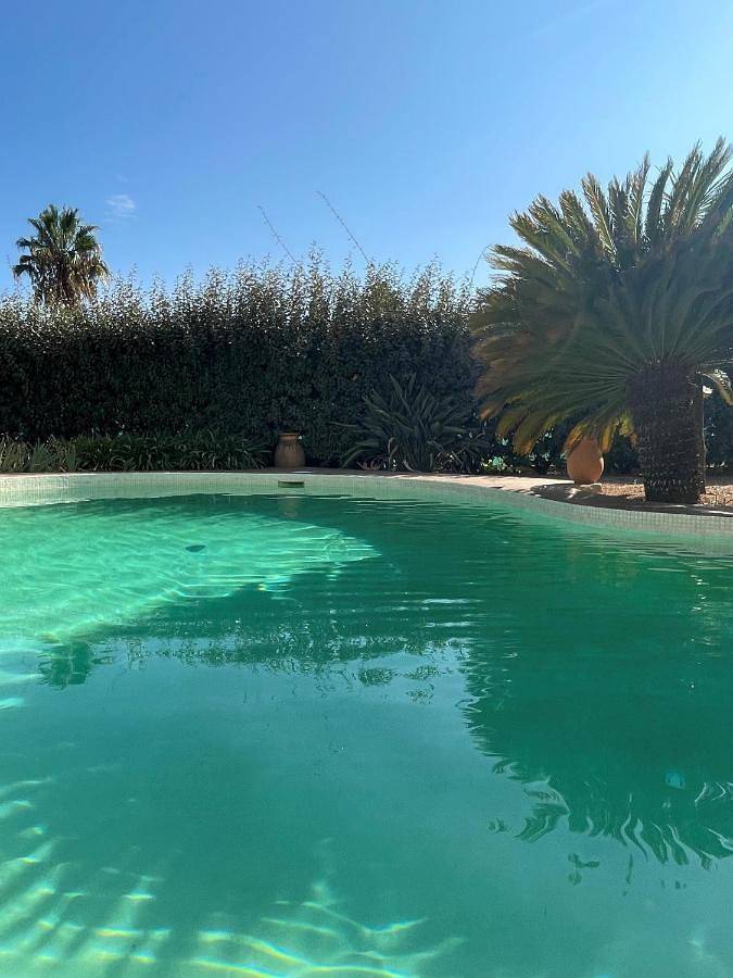 Chambre d’hôte pour 2 personnes, avec terrasse ainsi que piscine et jardin dans Parc national de Port-Cros - 2