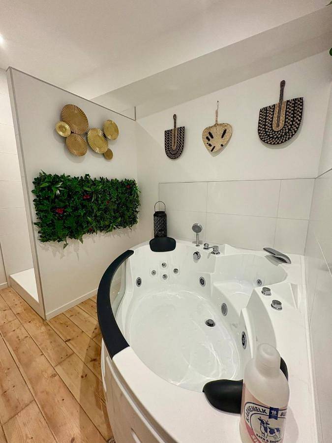 Appartement de vacances pour 2 personnes, avec Jacuzzi ainsi que Terrasse et Jardin à Roanne