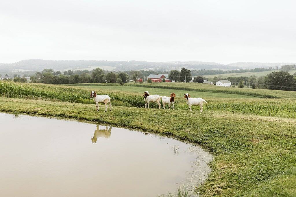 Wrap Around Decks mit schöner Aussicht und Whirlpool in Holmes County
