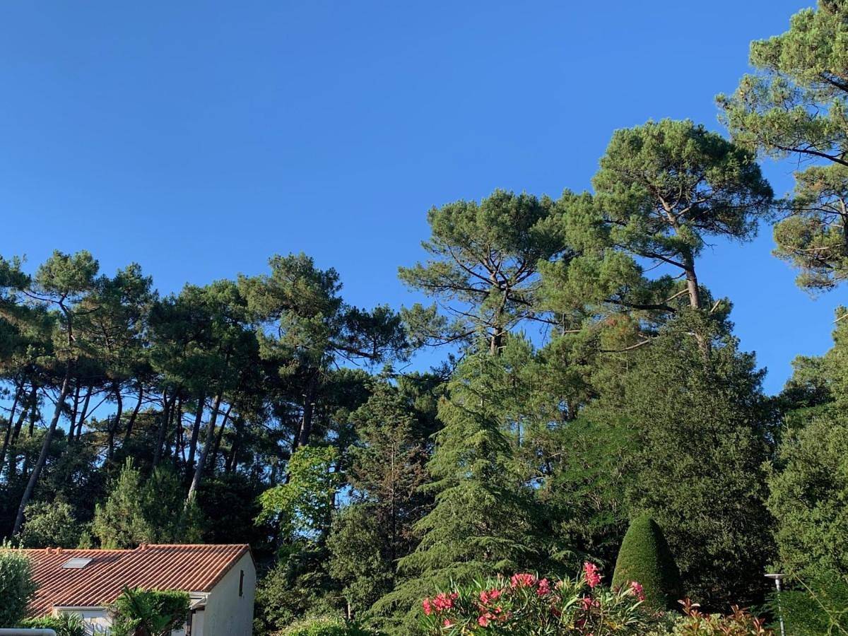 Maison bord de mer in La Palmyre, Les Mathes