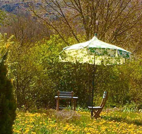 Chambre d’hôte pour 2 personnes, avec vue et jardin dans les Gorges du Tarn - 4