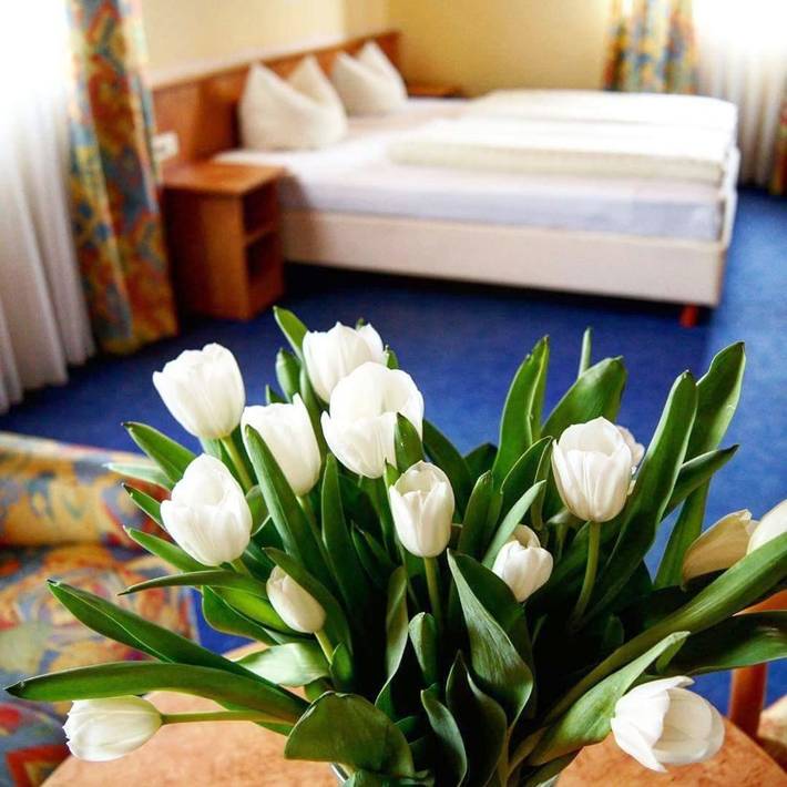 Hotel für 3 Personen, mit Terrasse in Bad Abbach - 2