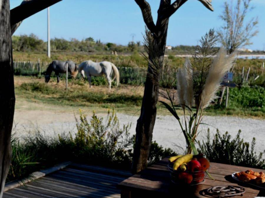 Camping Les Bois Flottés - Mobilheim 4 personen - Crippa Premium Blick Salins 4Pers. 2Zi. in Salin-de-Giraud, Arles
