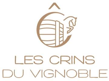 Gîte pour 15 personnes, avec jardin dans Loches-sur-Ource
