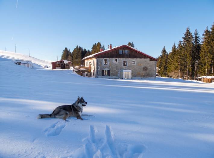 Secluded quiet house in Septmoncel with mountain view in Septmoncel Les Molunes, Parc naturel régional du Haut-Jura