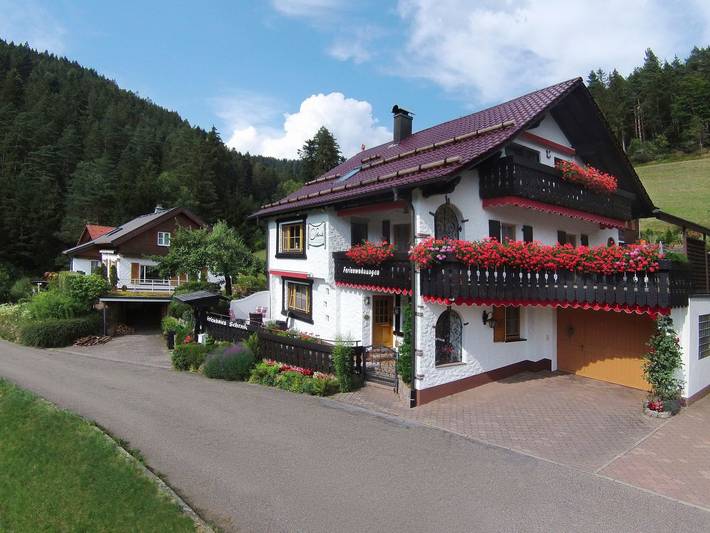 Hütte für 3 Personen, mit Terrasse und Garten sowie Ausblick in Baiersbronn