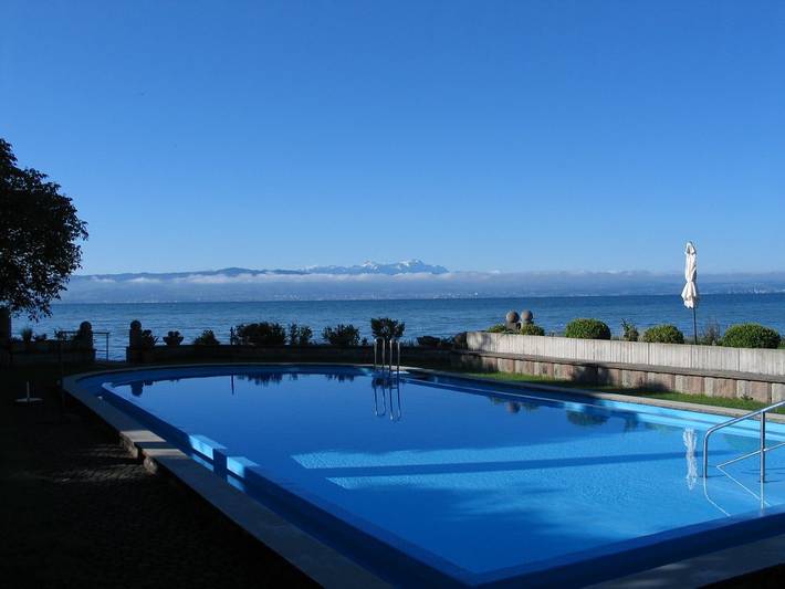 Seeterrasse Hotel und Gastronomie - Einzelzimmer Comfort in Langenargen, Obersee (Bodensee)