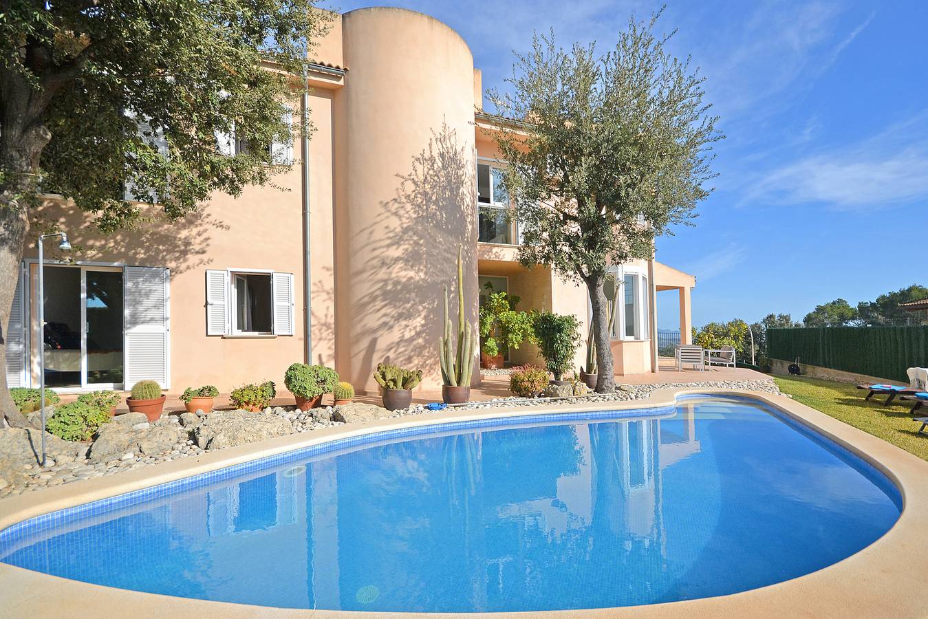 Cactus in Inca, Majorca Center