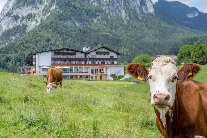 Dreibettzimmer in Jenbach, Bezirk Schwaz