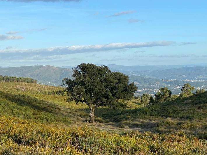 Location de vacances pour 4 personnes, avec vue ainsi que piscine et jardin dans Vila Verde - 4