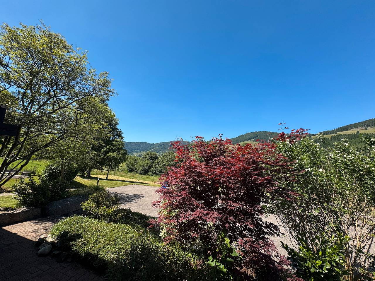 Ganze Wohnung, Ferienwohnung '2 mit Balkon' mit Bergblick, Gemeinschaftsterrasse und Wlan in Suedlicher Schwarzwald, Bernau im Schwarzwald
