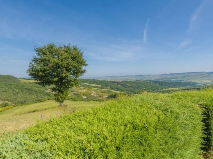 Villa pour 12 personnes, avec piscine et terrasse, animaux acceptés dans Val d'Orcia - 3