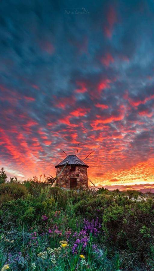 Vakantiepark voor 2 personen, met uitzicht en tuin in Portugal