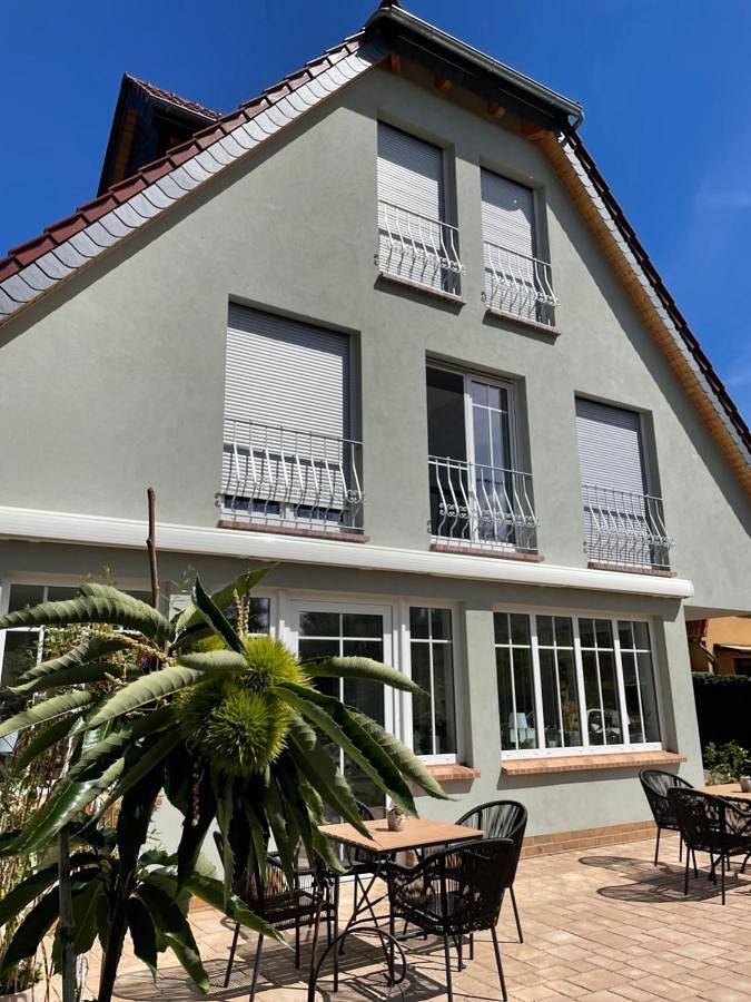 Ferienhaus für 4 Personen, mit Seeblick und Garten sowie Sauna und Ausblick in Senftenberg - 3