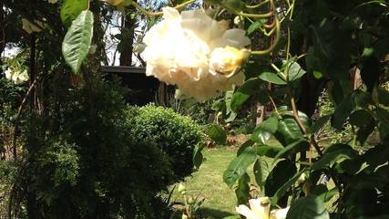 Guesthouse for 8 People in Foster (Victoria), Shire of South Gippsland, Photo 2