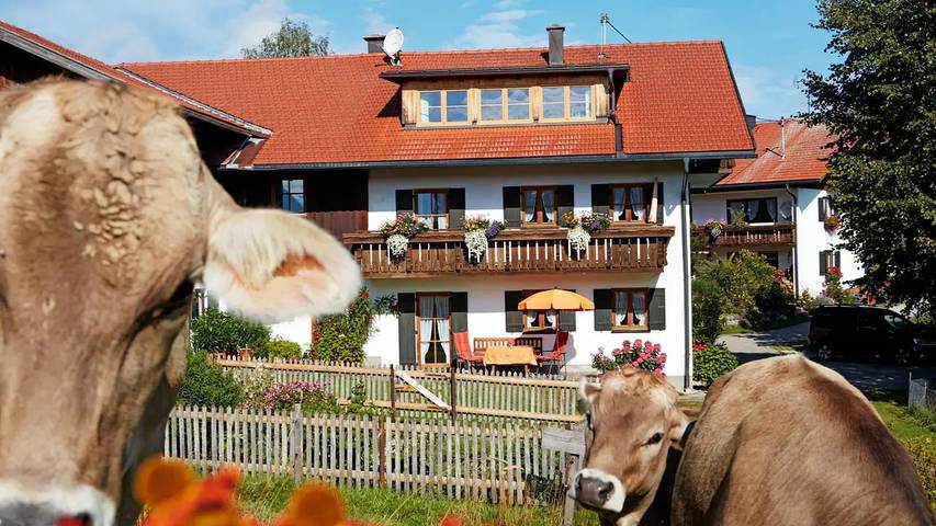 Bauernhof für 4 Personen, mit Balkon und Garten in Nesselwang - 2
