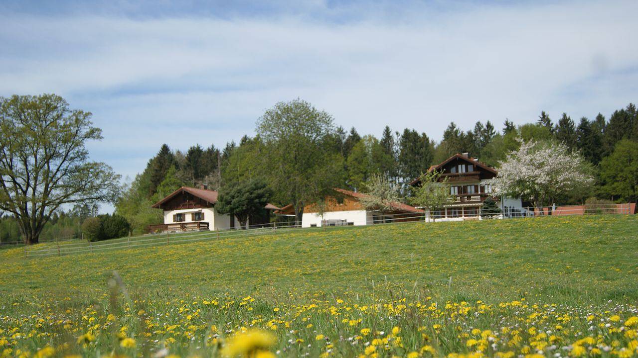 Ferienhaus für 6 Personen (55 m²) in Gstadt am Chiemsee in Gstadt am Chiemsee, Chiemsee