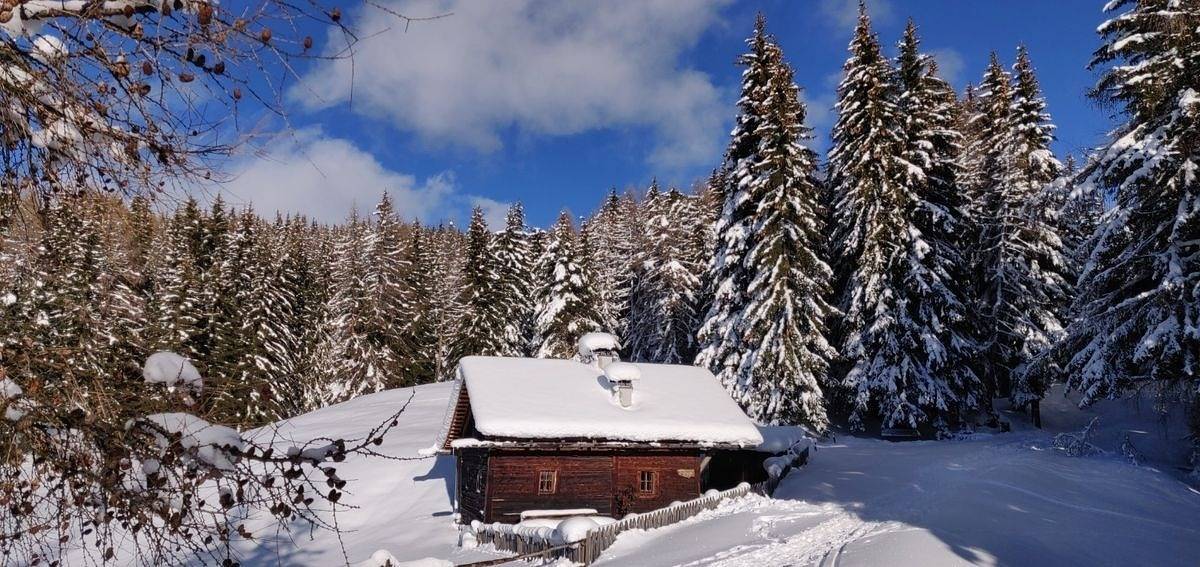 Reh's Wiesen Hütte in Lüsen, Dolomiti Superski
