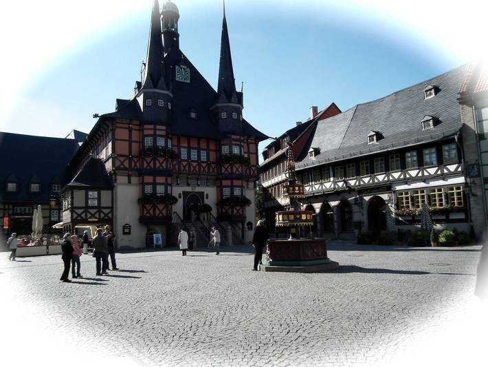 Ferienwohnung für 4 Personen, mit Garten in Wernigerode - 3