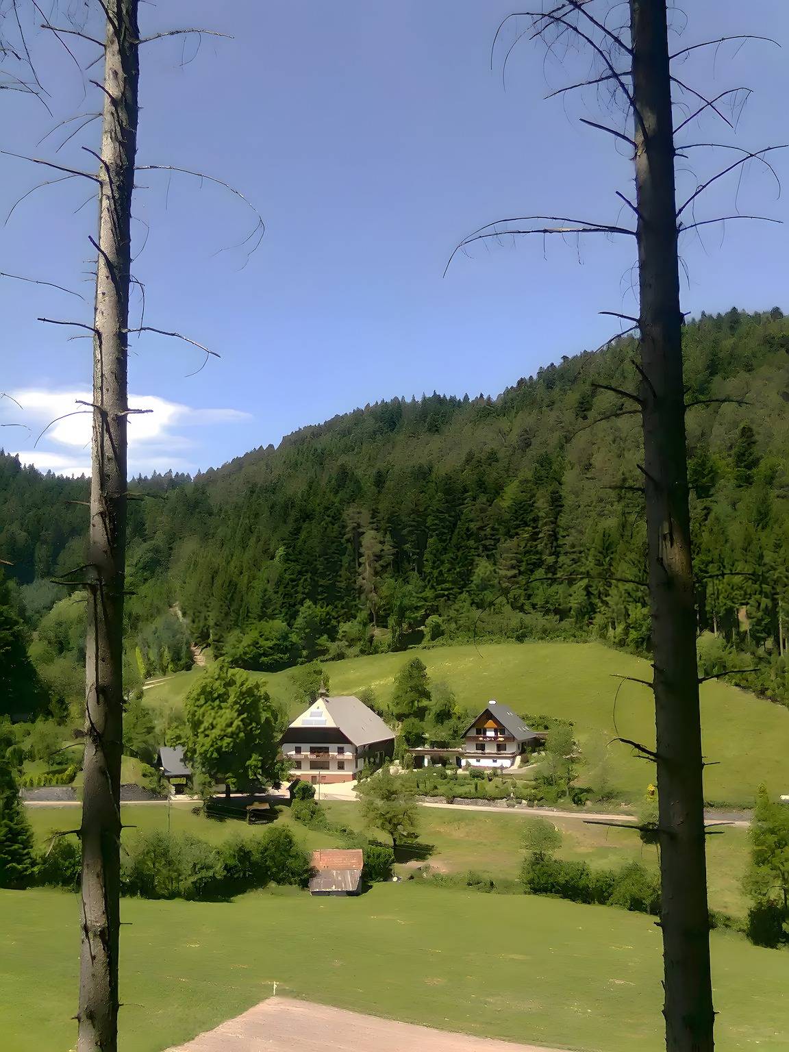 Ganze Wohnung, Waldbauernhof Ferienwohnung 1 in Hornberg, Mittlerer Schwarzwald
