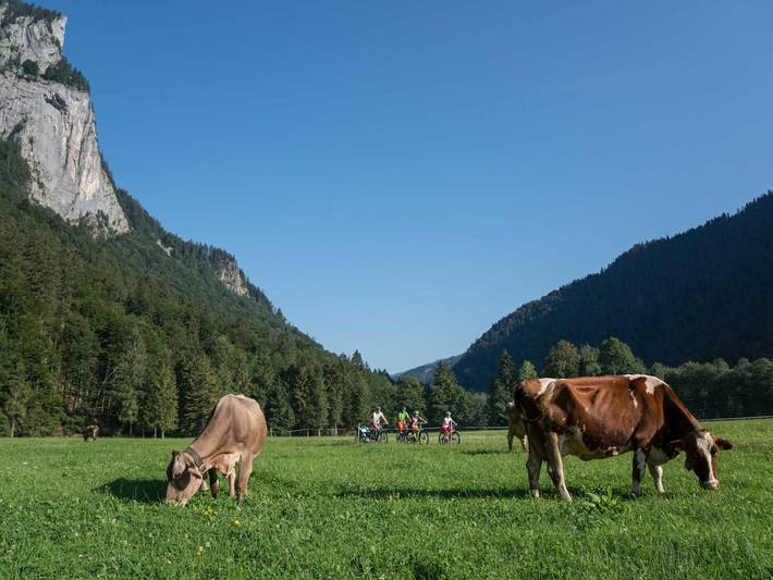Ferienwohnung für 2 Personen, mit Balkon und Garten in Au - 2