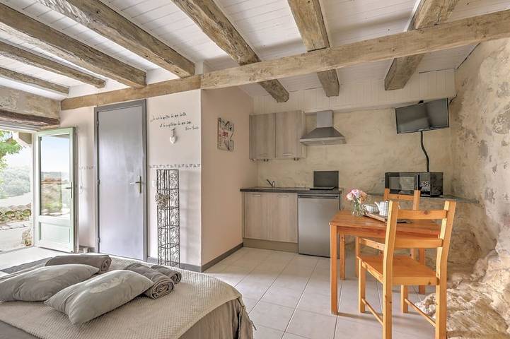 Gîte pour 2 personnes, avec piscine et terrasse ainsi que jacuzzi et jardin à Fargues - 4