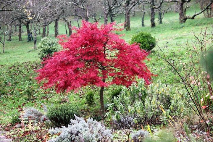 Chambre d’hôte pour 2 personnes, avec vue ainsi que piscine et jardin à Mazamet - 4