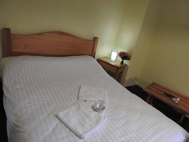 Hôtel pour 2 personnes, avec vue ainsi que jardin et terrasse dans Office De Tourisme Du Pays De Murat Sud Auvergne - 4