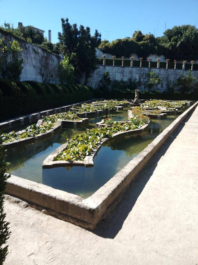 Apartamento inteiro, Visit Castelo Branco in Castelo Branco, Aldeias do Xisto