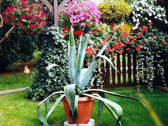 Ferienwohnung für 4 Personen, mit Balkon/Terrasse im Thüringer Wald - 2