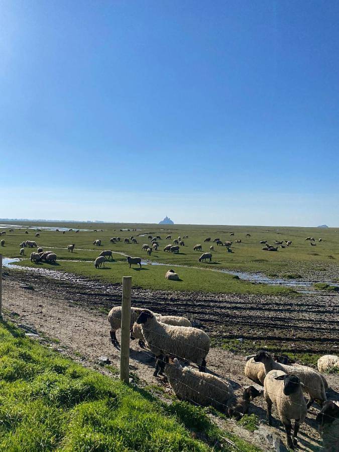 Chambre d’hôte pour 3 personnes, avec jardin à Courtils - 3