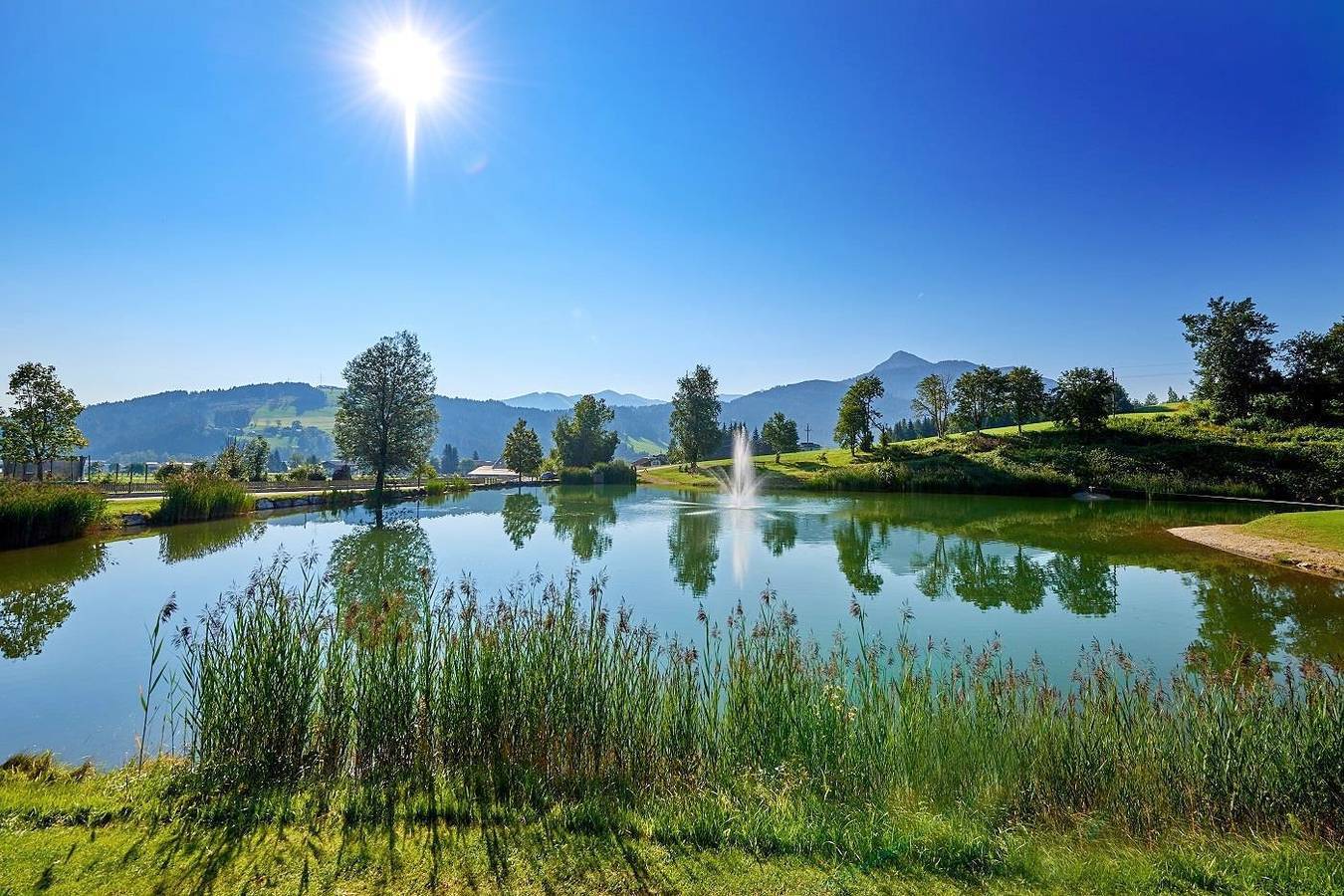 App/2 slaapkamers/douche, wc in Flachau, Tennengau