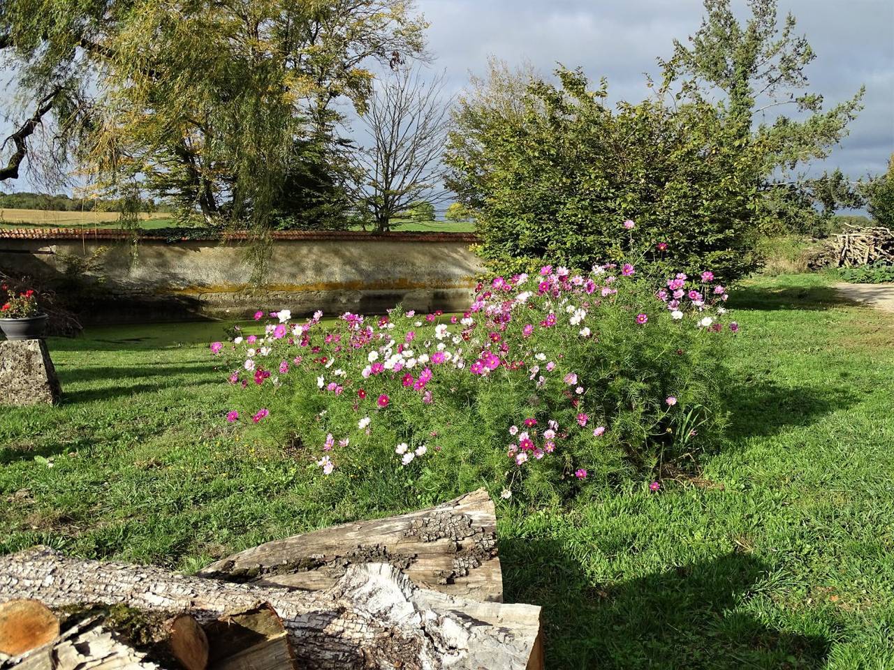 Gite la Tourpimpeau in Alligny-Cosne, Vallée de la Loire
