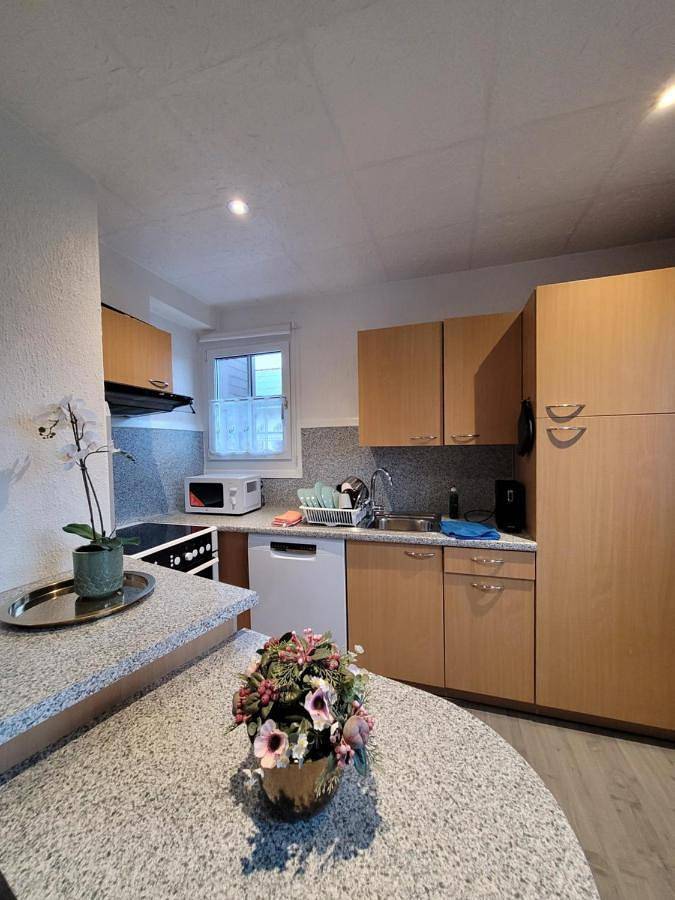 Gîte pour 6 personnes, avec Balcon ainsi que Terrasse et Jardin à Spiez - 3