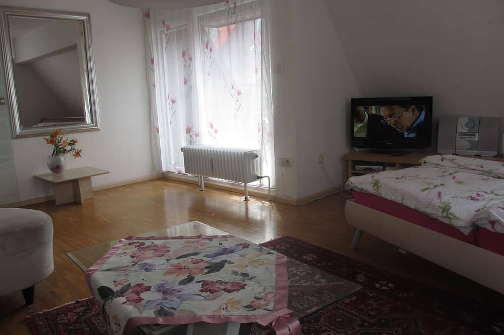 Entire apartment, 2 room apartment, balcony, Rathausplatz, barrier-free approx. 48 sqm in Altstadt (Freiburg), Freiburg