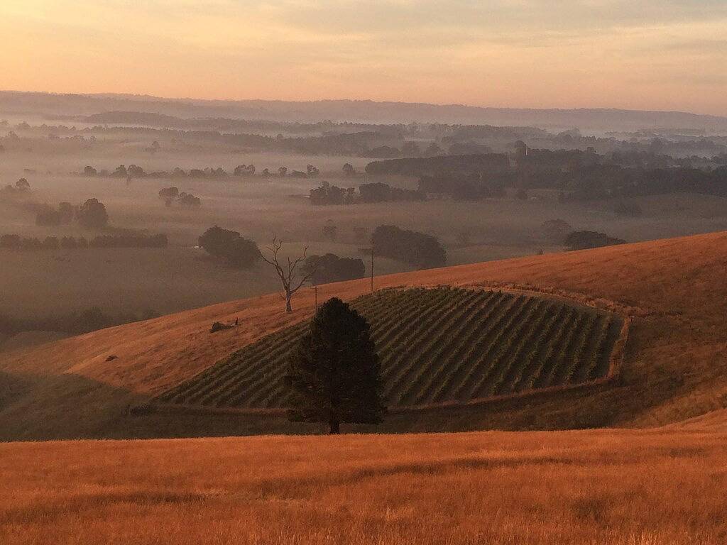 Belrose Estate by Tiny Away in Shire of South Gippsland